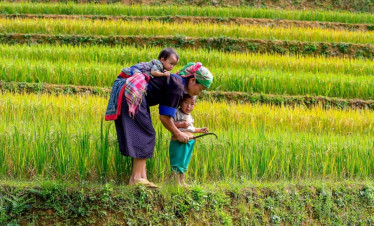 Rice-terraces-family-vi-ViettrendTour.