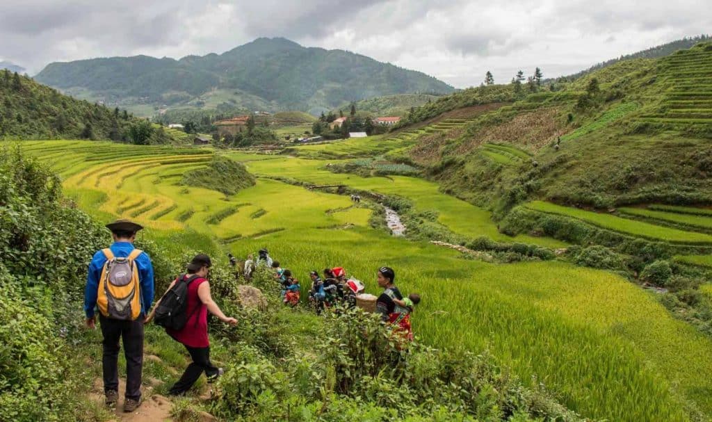 Rice terraces and hikers exploring lush green fields in Vietnam.