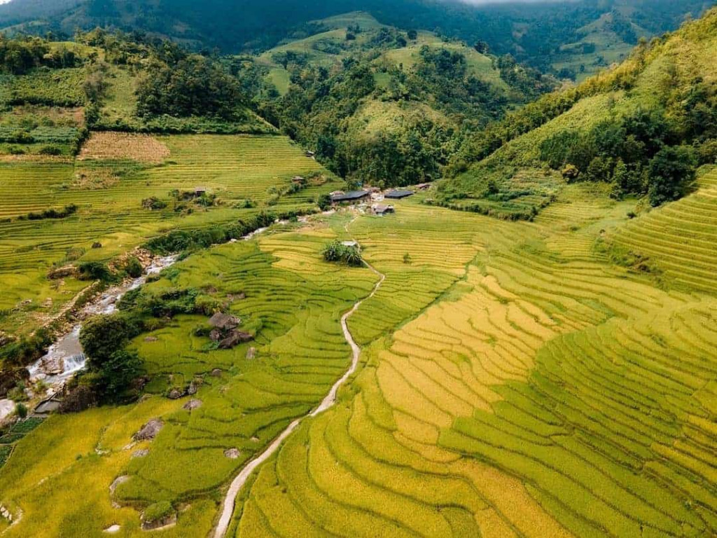 Rice terraces in Sapa showcasing lush green landscapes and traditional farming scenes.