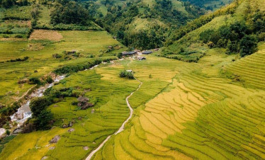 Rice terraces in Sapa showcasing lush green landscapes and traditional farming scenes.