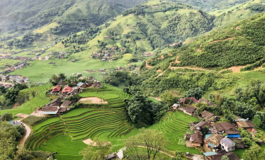 Rice terraces in Sapa showcasing lush green landscapes and traditional village life.