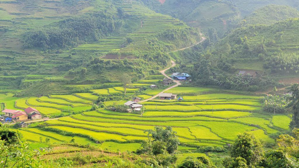 Rice terraces in Sapa, lush green landscape and traditional villages.
