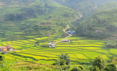 Rice terraces in Sapa, lush green landscape and traditional villages.