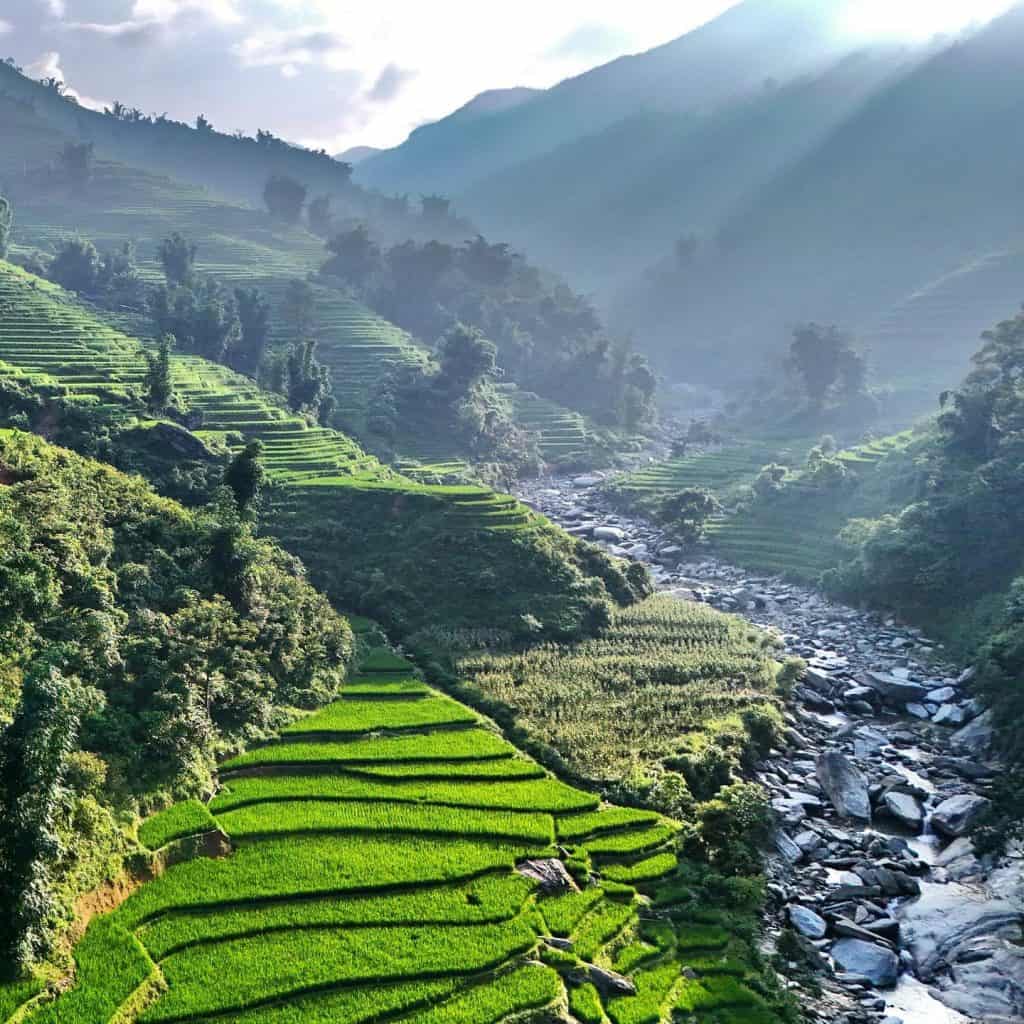 Rice terraces and mountain river scenery in Vietnam.