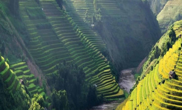 Rice terraces and river landscape in Vietnam.