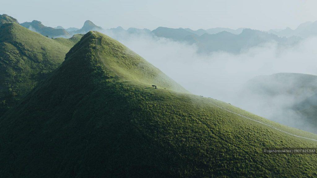 Hiking adventure through lush green mountains in Sapa, Vietnam, offering breathtaking views and unfo.