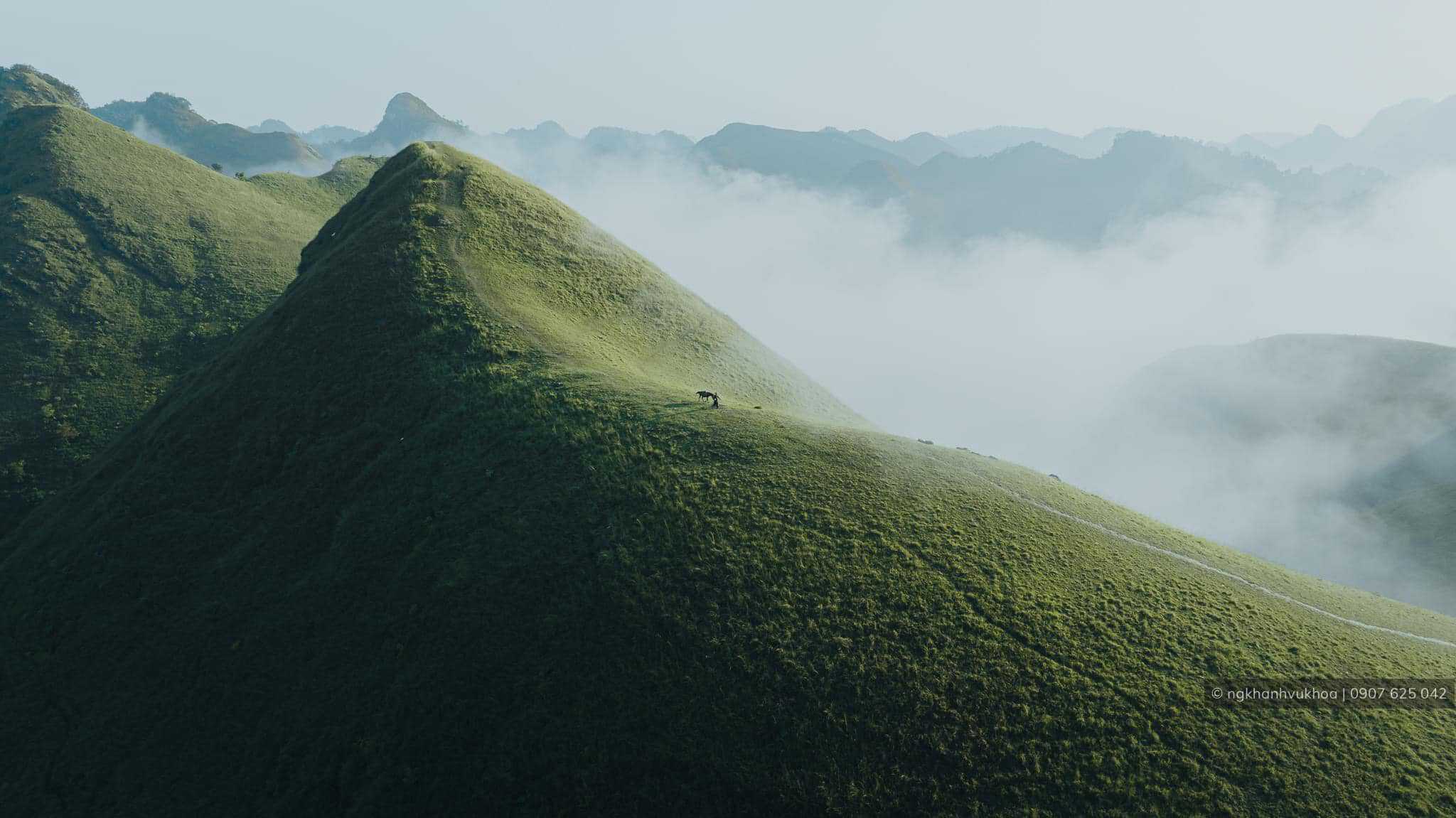 461102776_495518853327096_3122598552913185953_n