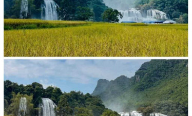 Waterfalls and lush greenery in Northern Vietnam, perfect for nature lovers and adventure seekers.