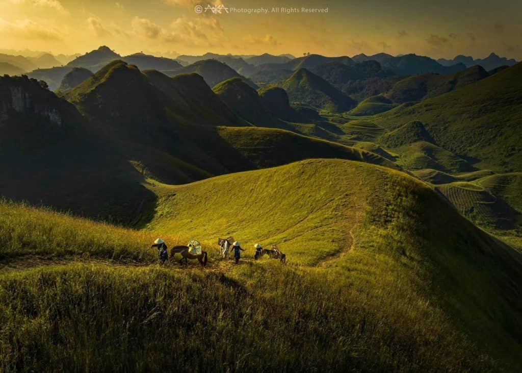 Hiking adventure through lush green hills of Sapa, Vietnam, capturing breathtaking mountain scenery.