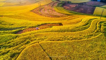 462581013_883805470602408_5922286453115106138_n