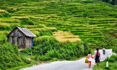 Rice terraces in Sapa with local children walking along the road, scenic mountain landscape.