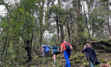 Hiking-forest-nature-viettrendtour.