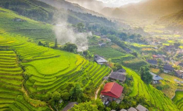 Scenic rice terraces in Vietnam with lush green fields and mountain views.