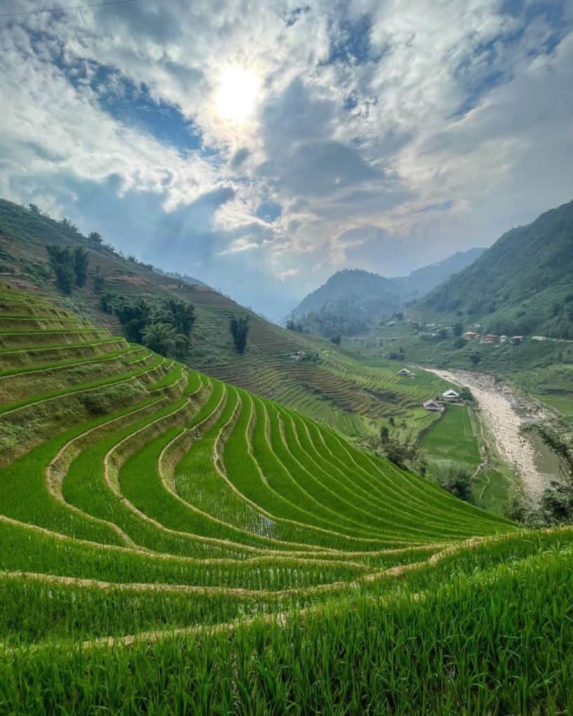 Rice-terraces-viettrendtour-vietnam.