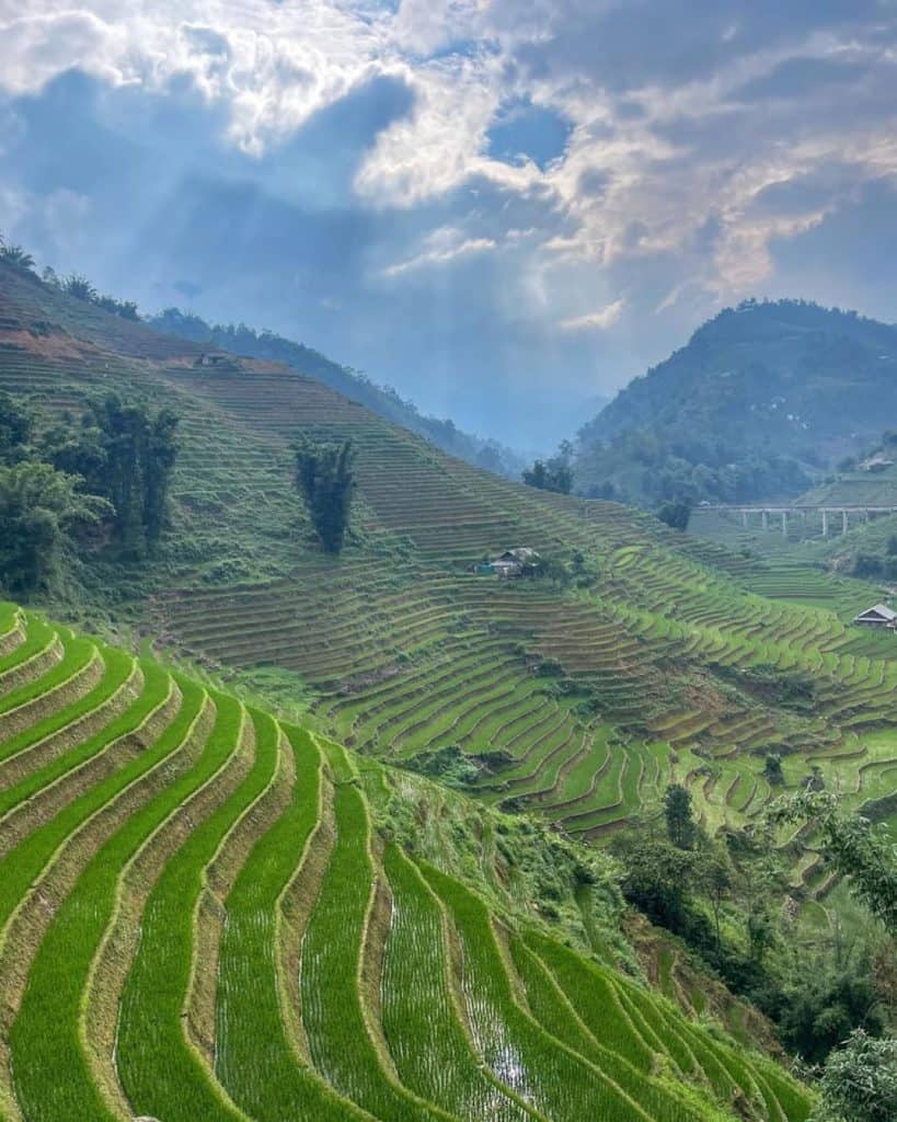 Rice terraces in Sapa with lush green scenery and mountain views.