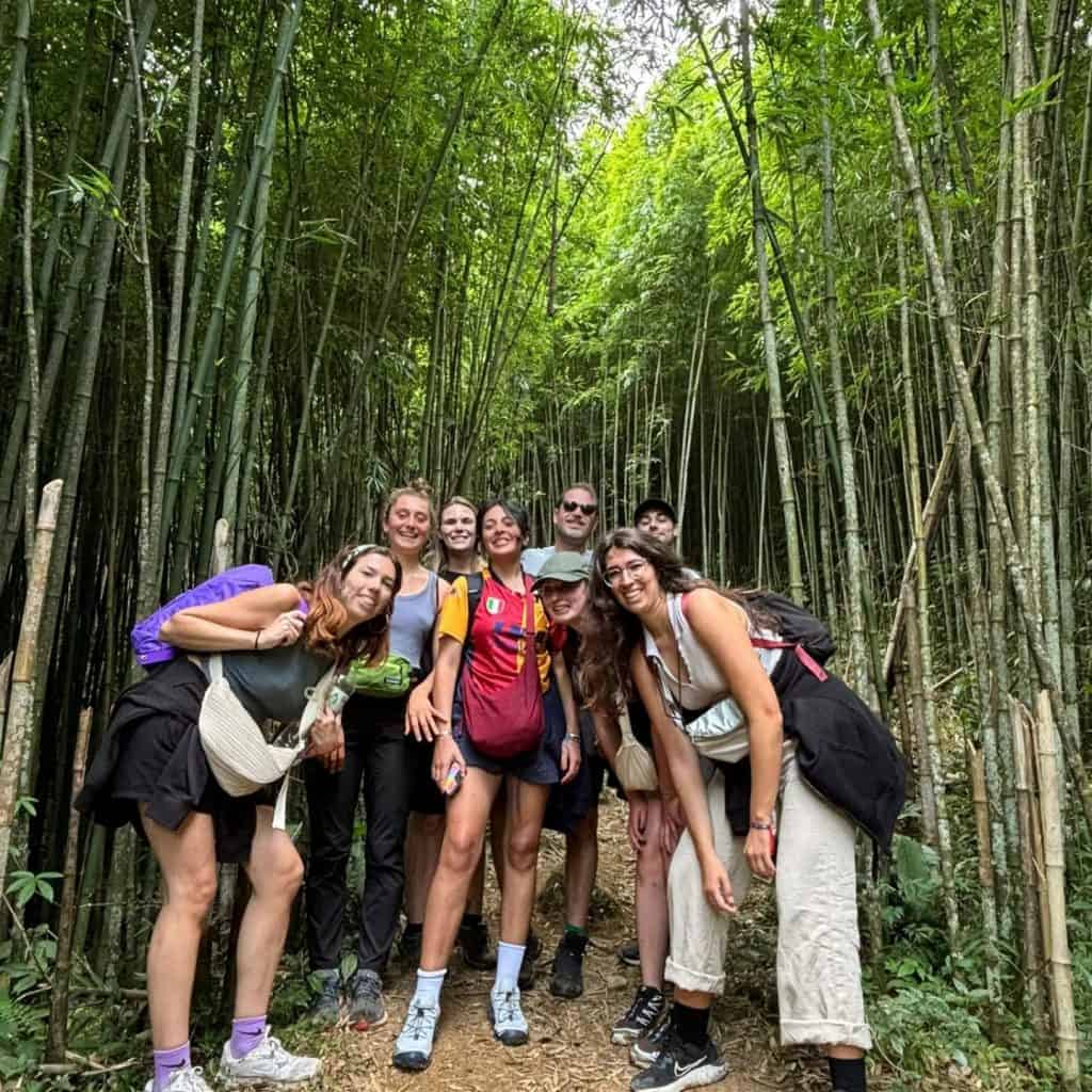 Bamboo forest adventure with friends in Vietnam's lush greenery.
