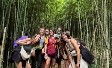 Bamboo forest adventure with friends in Vietnam's lush greenery.