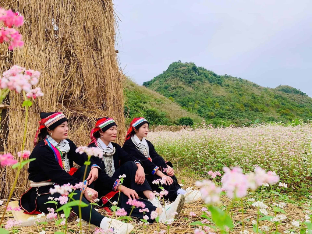 Traditional H'mong women in colorful attire sitting in a flower field.