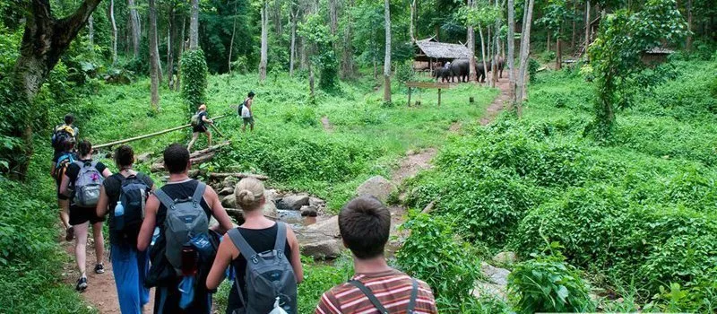 Cuc-Phuong-National-Park-Tour