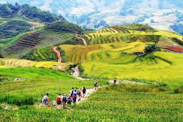 du-lich-ban-ta-van-sapa-2