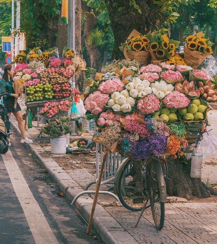 Hanoi City 14