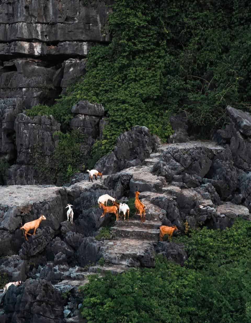 420000826_3712143002399121_1651618732882412538_n