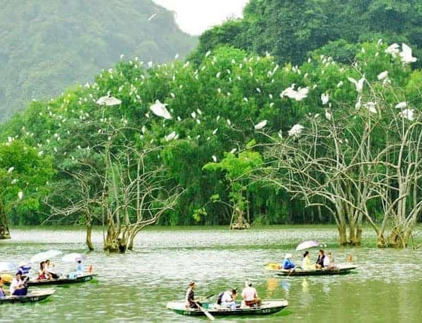 Floating market scene with boats and lush greenery.