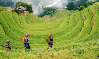Rice terraces in Sapa with local farmers walking through the lush fields.