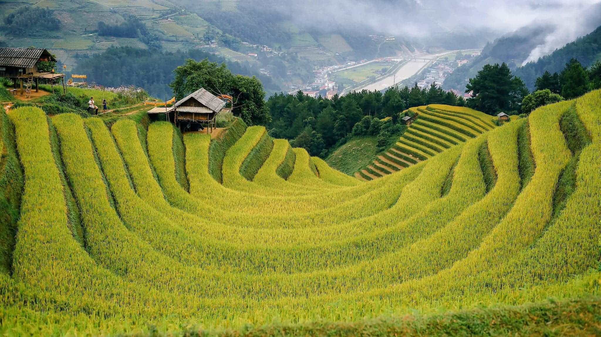 mucangchai