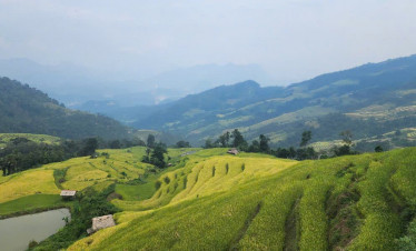 Rice terraces in Sapa showcasing stunning mountain scenery and lush greenery.