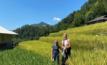 Rice terrace trekking adventure in Vietnam's lush landscape.