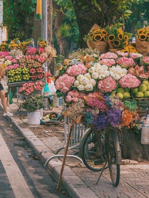 Flower market scene with vibrant blooms and bustling atmosphere in Hanoi.