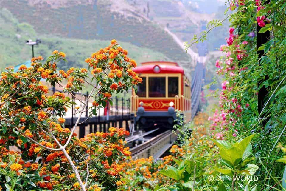 Sapa train passing through lush gardens and vibrant flowers, offering a scenic journey in Vietnam.