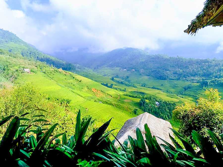 Rice terraces in Sapa with lush green scenery and mountain views.