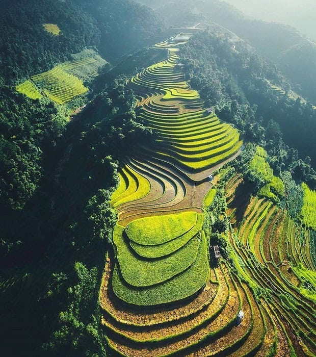 Lush green terraced rice paddies cascade down the mountainside, showcasing Sapa's stunning natural b.