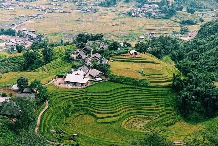 Stunning rice terraces in Sapa showcasing lush greenery and traditional farming scenes.