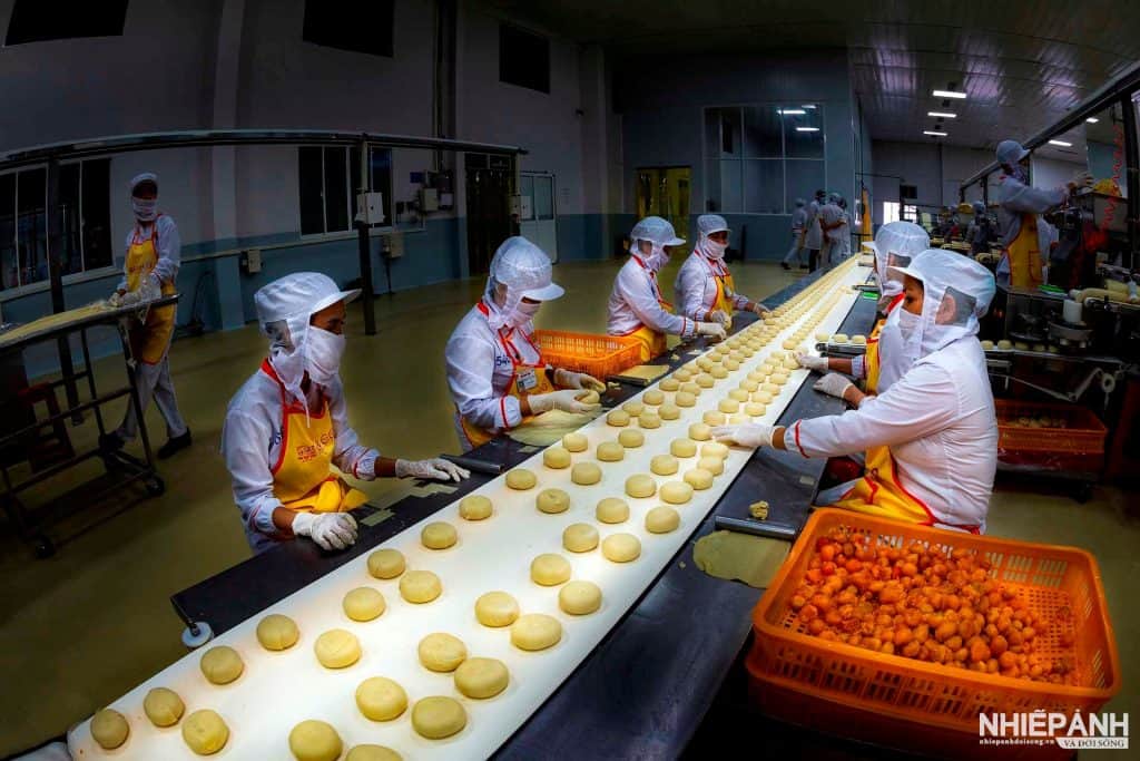 Cookie production line in factory.