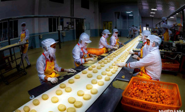 Cookie production line in factory.