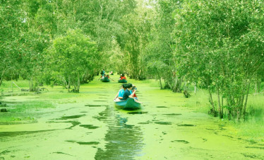 Mekong delta canoe tour - peaceful river adventure - ViettrendTour.