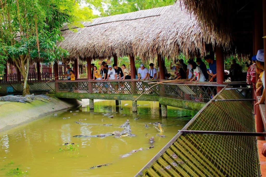 Mekong River boat ride showcasing lush scenery and vibrant local life in Vietnam’s delta.