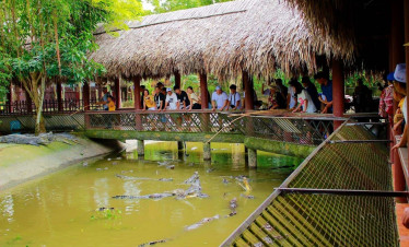Mekong River boat ride showcasing lush scenery and vibrant local life in Vietnam’s delta.