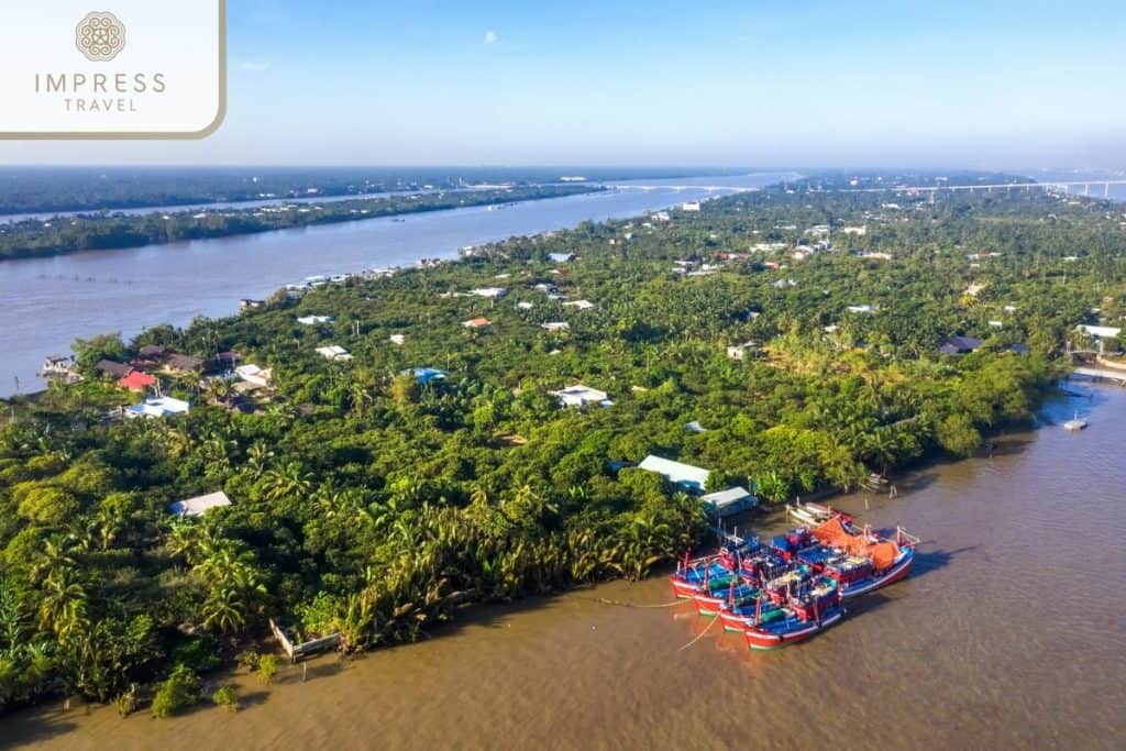 Mekong River view with lush greenery and traditional boats, showcasing Vietnam’s vibrant delta scene.