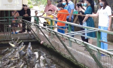 Mekong River wildlife feeding experience with tourists observing crocodiles up close.