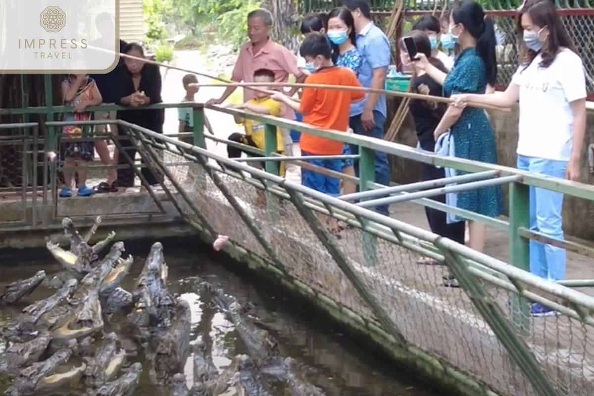 long-xuyen-crocodile-farm-mekong-delta-tour-experience-7