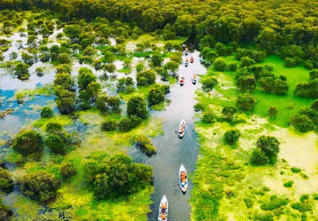 Mekong Delta boat cruise through lush green forests and waterways, offering an unforgettable experie.