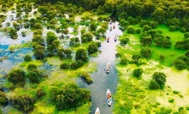 Mekong Delta boat cruise through lush green forests and waterways, offering an unforgettable experie.