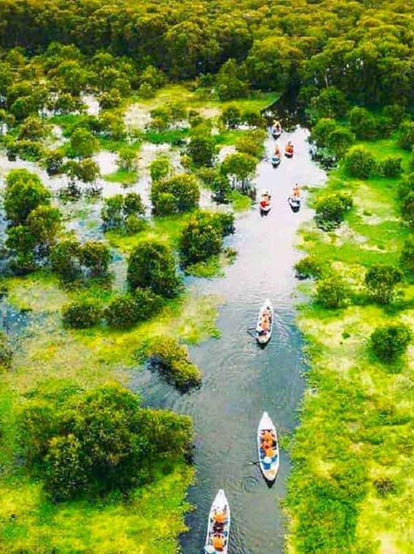 Mekong Delta boat cruise through lush green forests and waterways, offering an unforgettable experie.