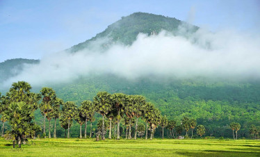 Misty mountain view over lush green Mekong Delta with palm trees, serene and picturesque scenery.