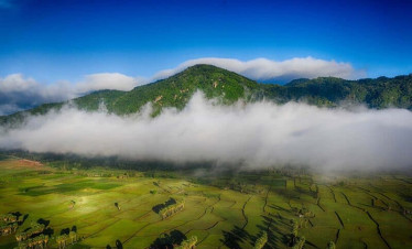Vietnam Mekong Delta Landscape | ViettrendTour.