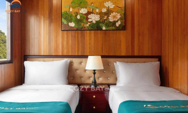 Comfortable cruise cabin with wooden interior and cozy bedding.